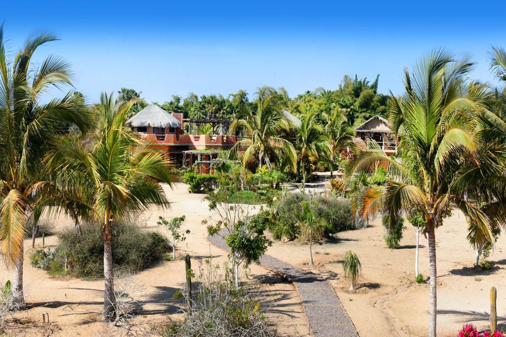 Flora Del Mar Hotel Todos Santos Zewnętrze zdjęcie